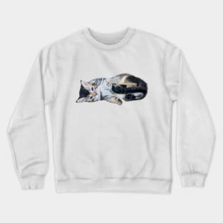 Litle Kitten Crewneck Sweatshirt